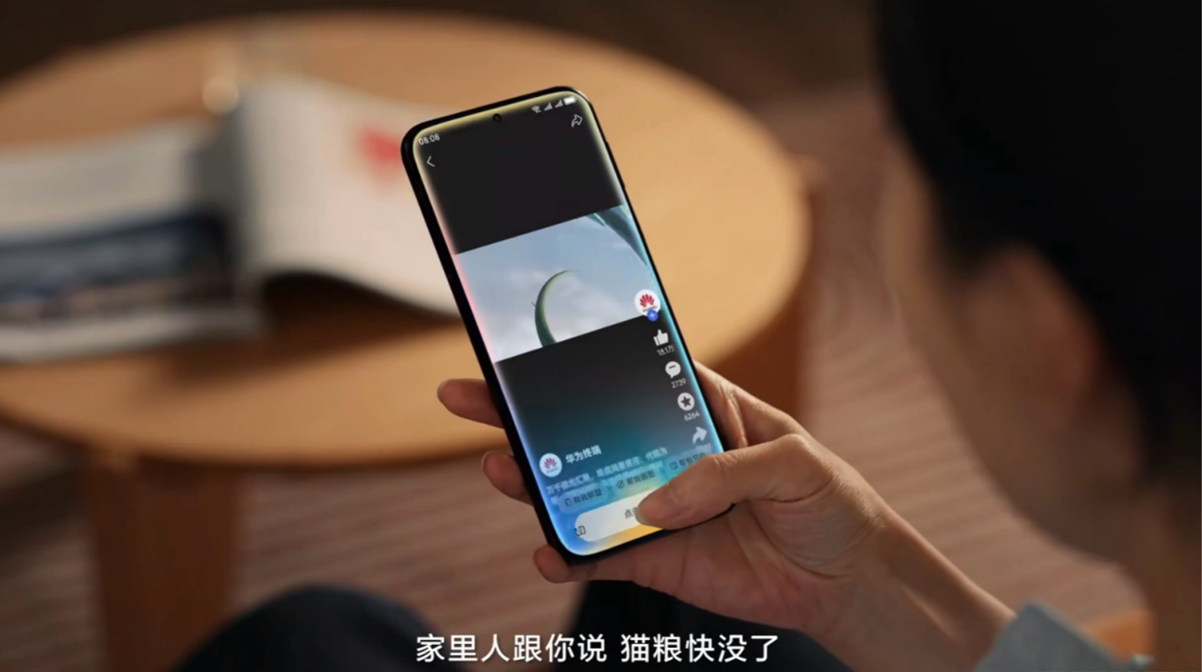 凤凰5.jpg 凤凰5.jpg