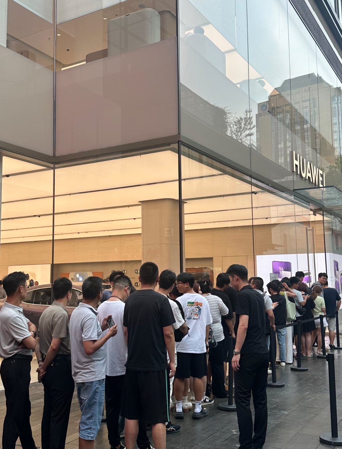 图片 1.jpg