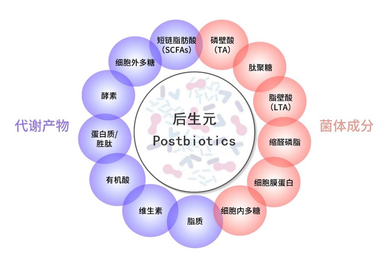 图片 2.png