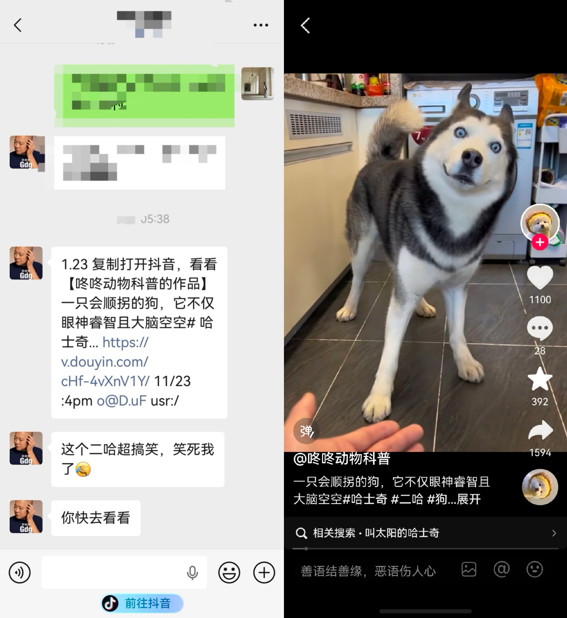 图片 4.png