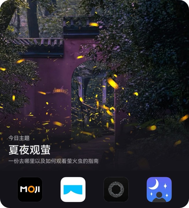 夏夜观萤-封面-圆角.jpg