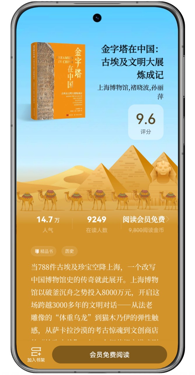 金字塔在中国-含机框图.jpg
