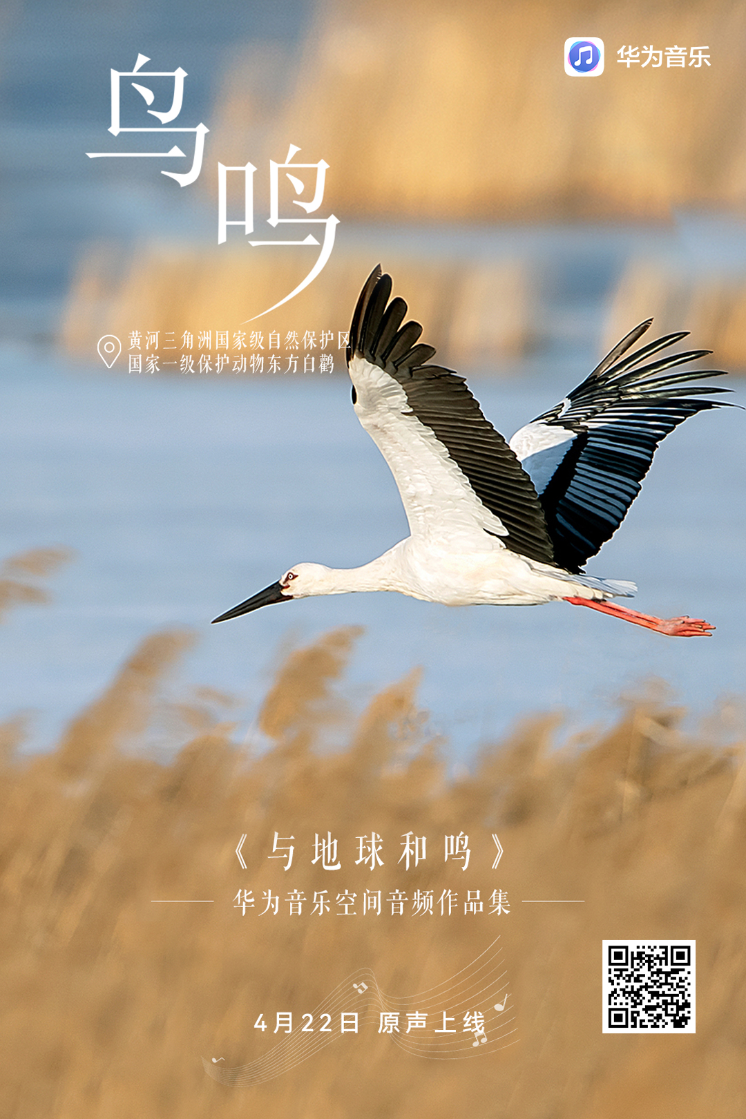 5（二维码）.jpg