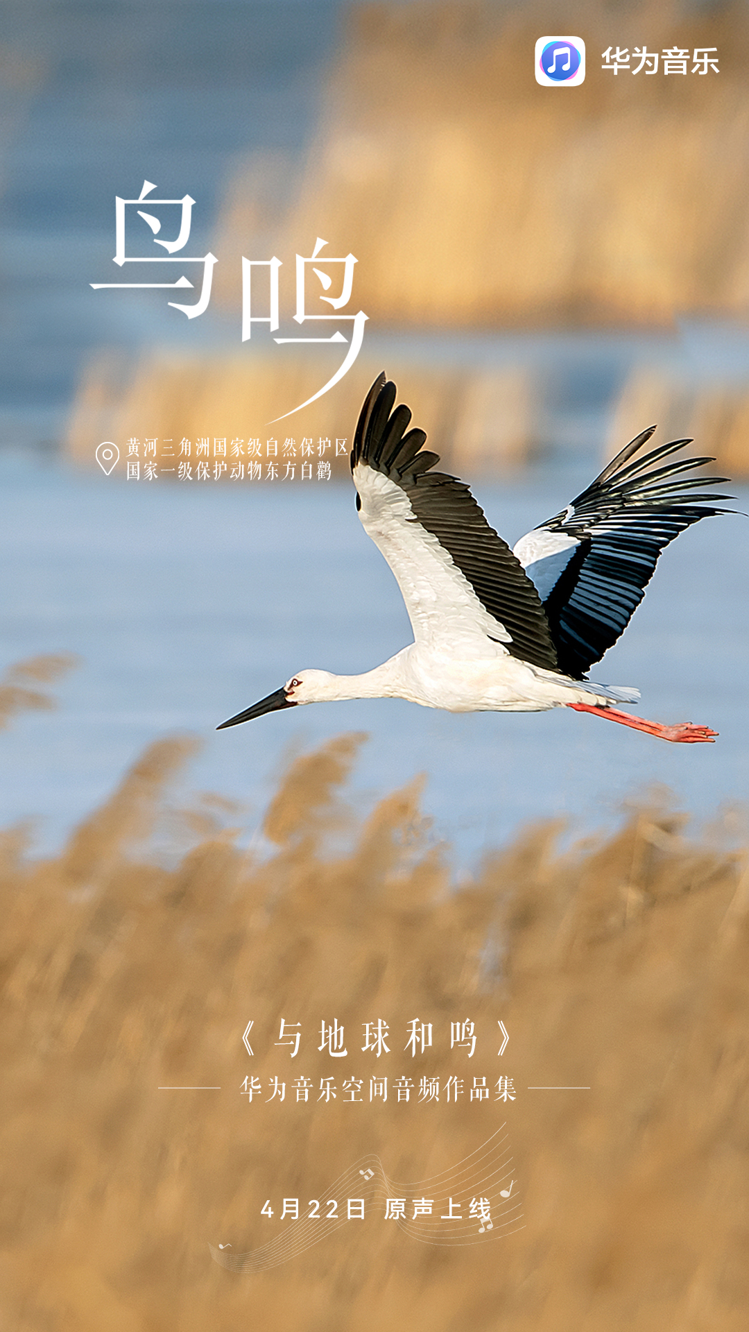 5（无二维码）.jpg