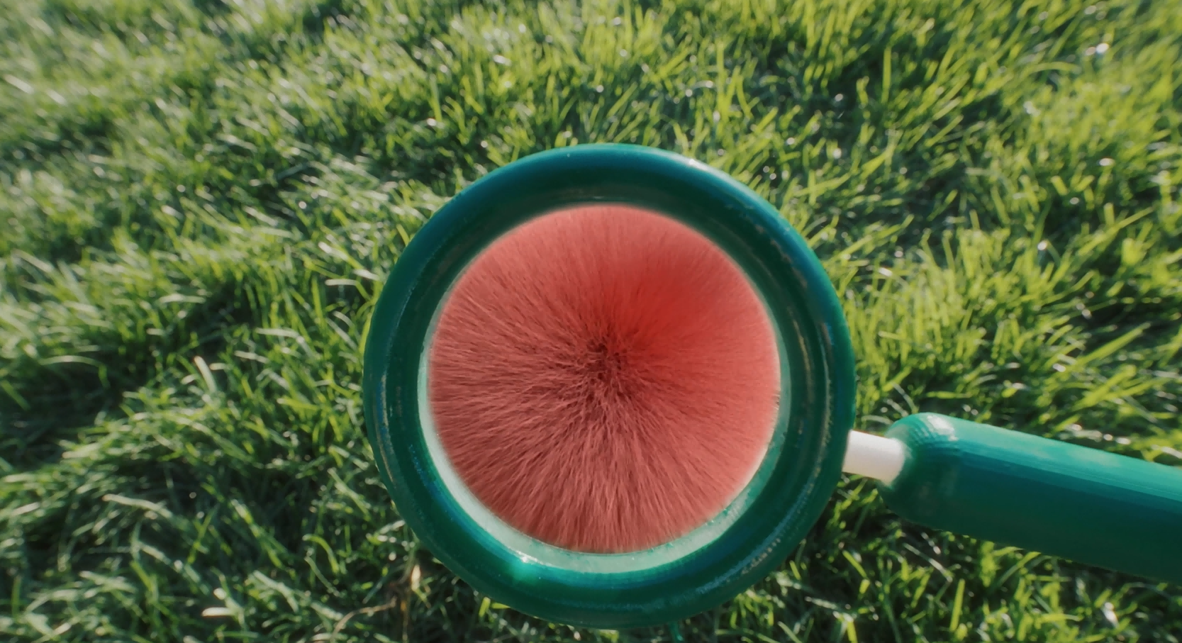 9.png